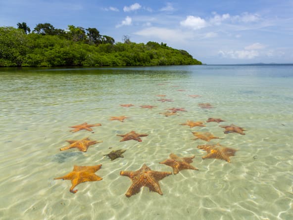 Bocas del Toro’s Starfish Beach